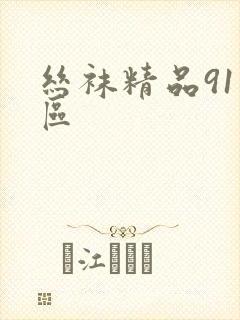 丝袜精品91一区