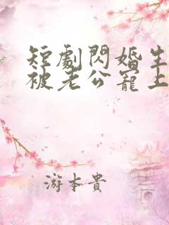 短剧闪婚生子后被老公宠上天免费观看