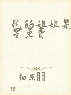 我的姐姐是大明星免费