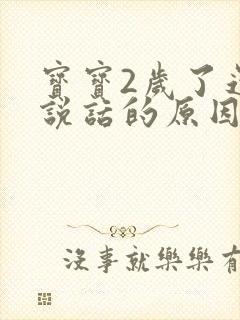 宝宝2岁了还不说话的原因