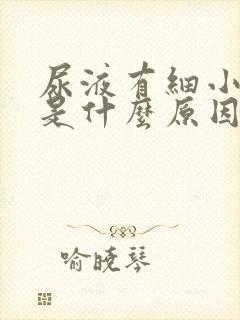 尿液有细小泡沫是什么原因