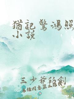 犹记惊鸿照影来小说