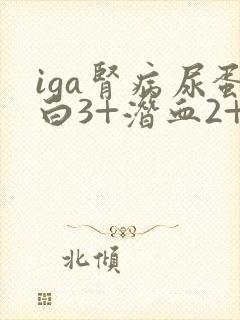 iga肾病尿蛋白3+潜血2+严重吗