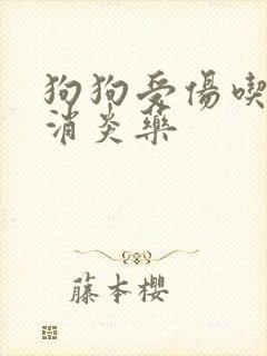 狗狗受伤吃什么消炎药