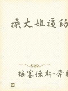 操大姐逼的小说
