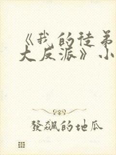 《我的徒弟都是大反派》小说