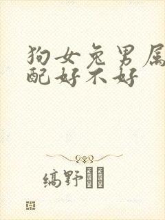 狗女兔男属相婚配好不好