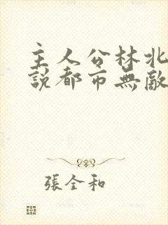 主人公林北的小说都市无敌战神