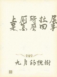 上厕所拉屎带血是怎么回事