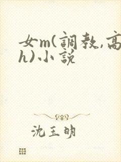 女m(调教,高h)小说