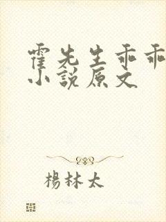 霍先生乖乖宠我小说原文