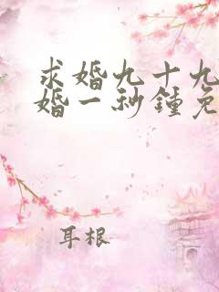 求婚九十九次离婚一秒钟免费观看