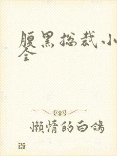 腹黑总裁小说大全