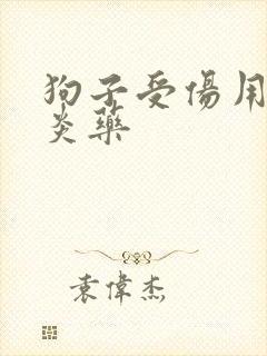 狗子受伤用的消炎药