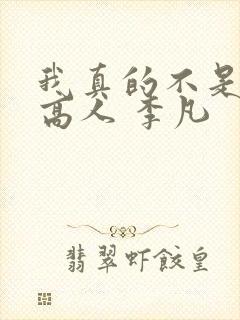 我真的不是盖世高人 李凡