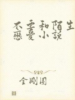 不要和陌生人谈恋爱小说