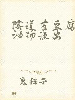 阴道有豆腐渣分泌物流出