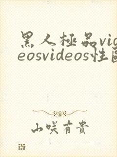 黑人极品videosvideos性欧美