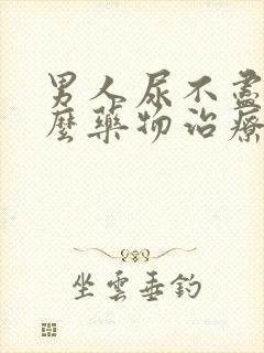 男人尿不尽吃什么药物治疗