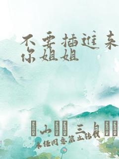 不要插进来我是你姐姐