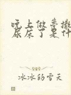 晚上做梦撒尿就尿床了是什么原因