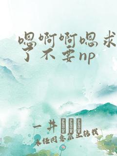 嗯啊啊嗯求你们了不要np
