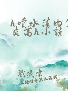 h喷水荡肉失禁爽高h小说