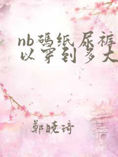 nb码纸尿裤可以穿到多大