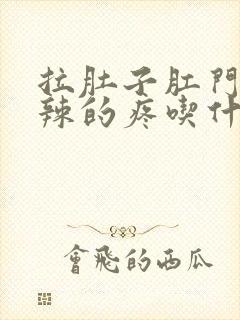 拉肚子肛门火辣辣的疼吃什么药