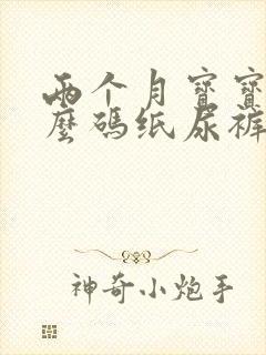 两个月宝宝用什么码纸尿裤