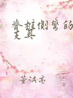 脊椎侧弯的治疗支具