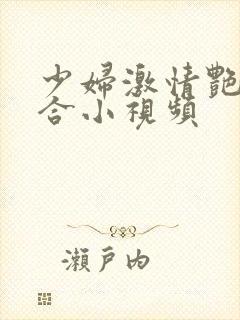 少妇激情艳情综合小视频