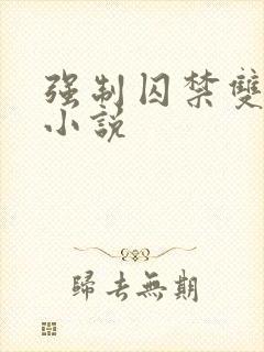 强制囚禁双男主小说