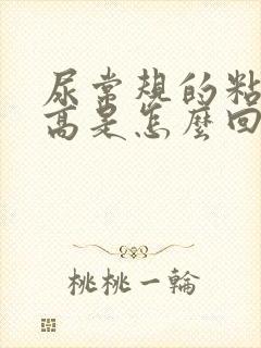 尿常规的粘液丝高是怎么回事