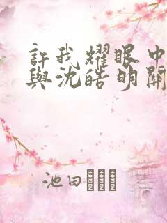 许我耀眼中方蕾与沈皓明关系