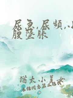 尿急,尿频,小腹坠胀