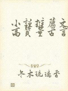 小说推荐文笔好高质量古言