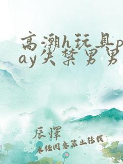 高潮h玩具play失禁男男