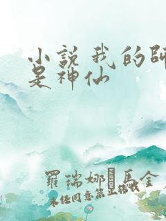 小说 我的师傅是神仙