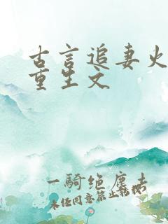 古言追妻火葬场重生文