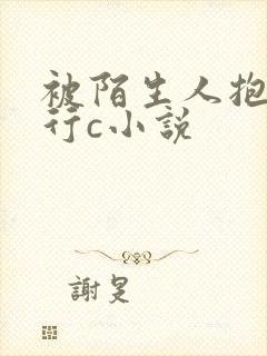 被陌生人抱着强行c小说