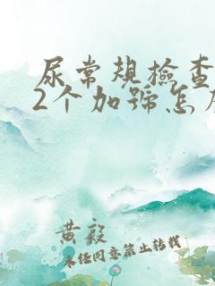 尿常规检查隐血2个加号怎么回事