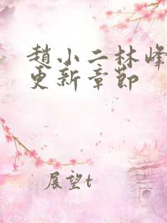 赵小二林峰最新更新章节