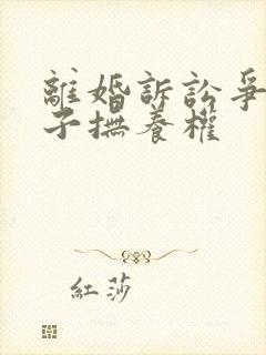 离婚诉讼争夺孩子抚养权