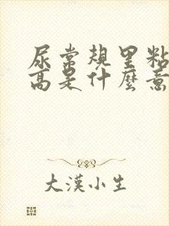 尿常规里粘液丝高是什么意思