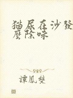 猫尿在沙发上怎么除味