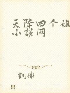 天降四个姐姐 小说网
