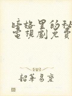 暗格里的秘密 电视剧免费观看