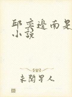 邱奕边南是什么小说