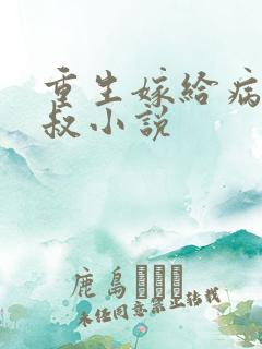 重生嫁给病娇皇叔小说